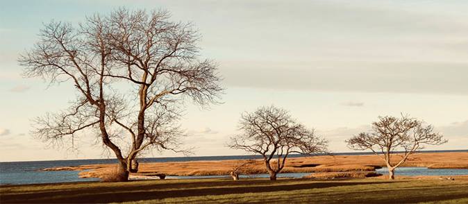 Turistbyrån