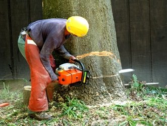 Tree-prerje shërbimeve