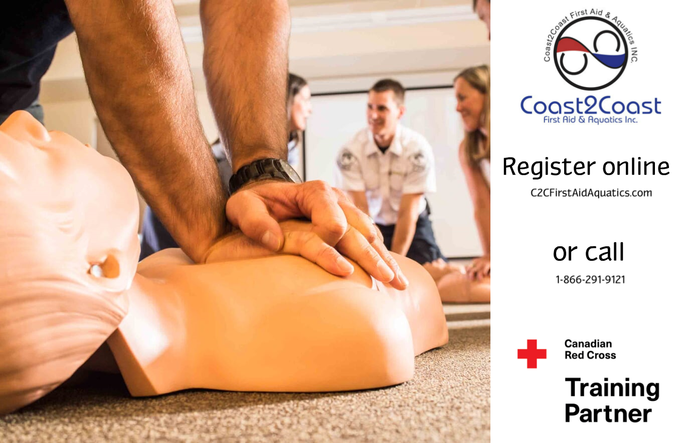 Standard First-Aid/CPR Course