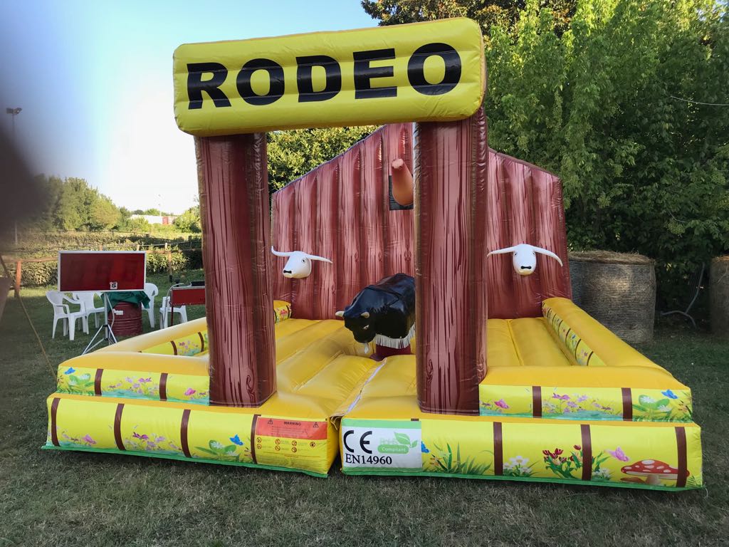 RENT AND SALE MECHANICAL BULL