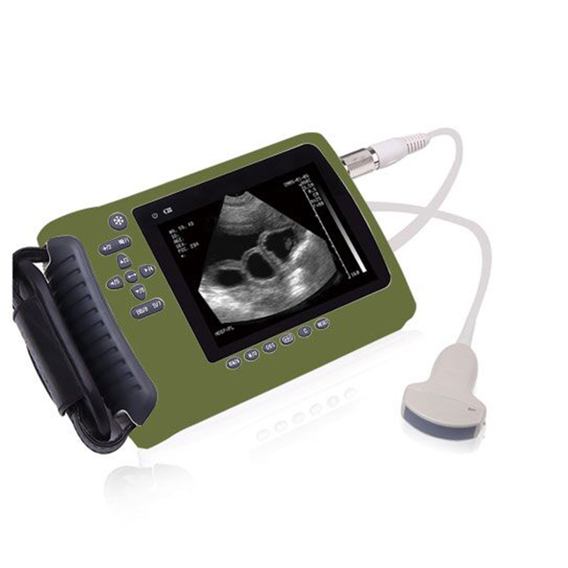 Veterinary Handheld Ultrasound Scanner