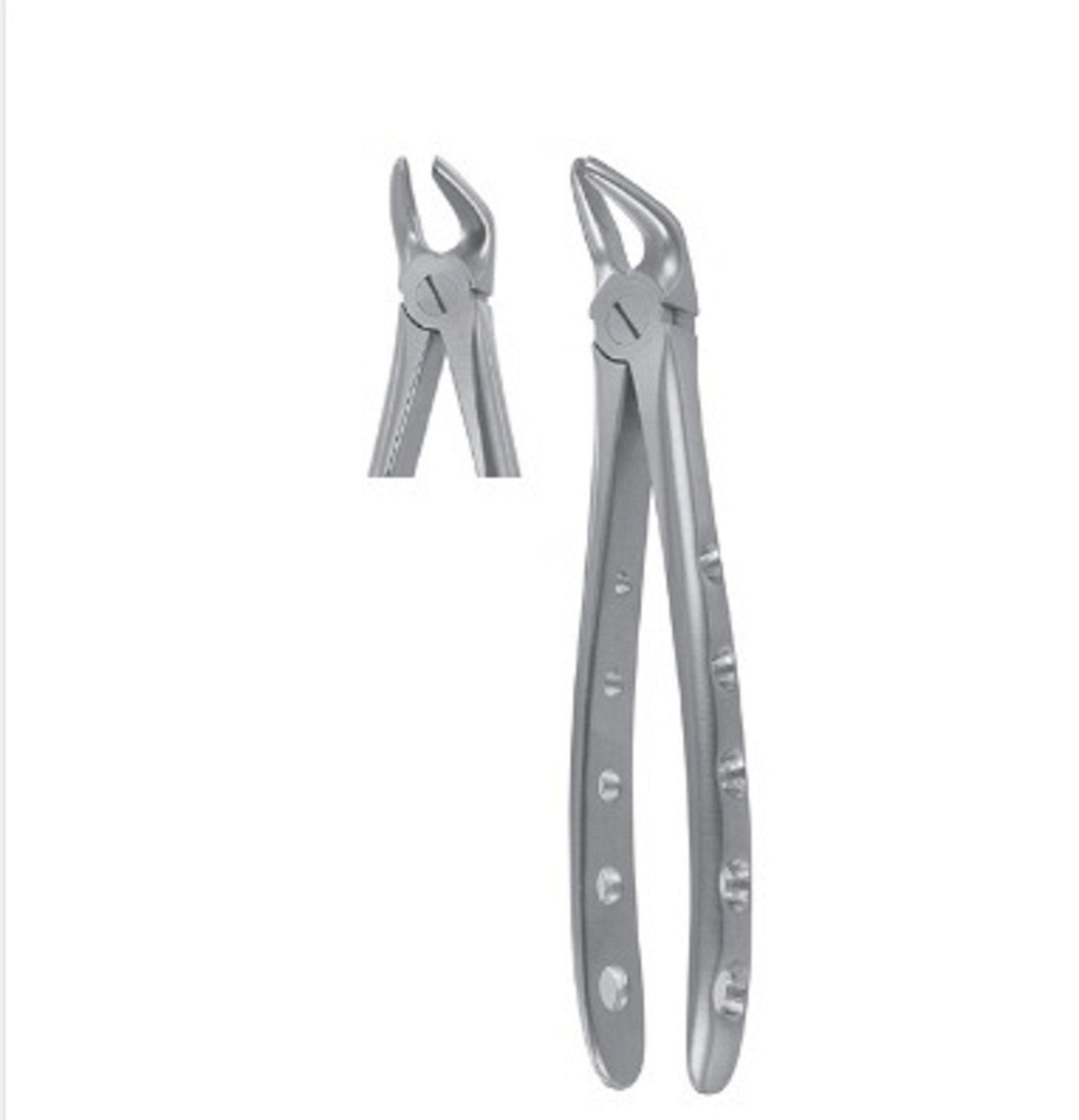 Extraction Forceps Lower Premolar Fig 8, Best Extraction Forceps Dental, English Extraction Forceps