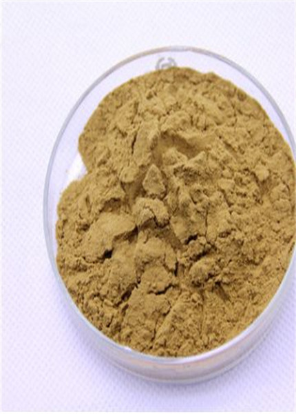 Green tea extract,PLANT EXTRACT,Solvent Extraction