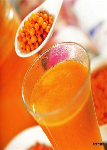 Seabuckthorn fruit juice,Sea buckthorn fruit juice,PLANT EXTRACT,Solvent Extraction