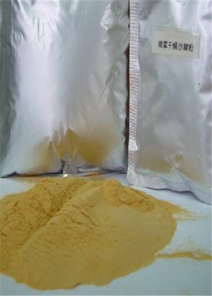 Seabucktorn fruit powder,Sea buckthorn fruit powder,PLANT EXTRACT,Solvent Extraction