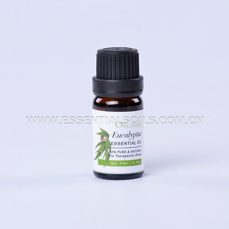 10ml-Eucalyptus Essential Oil