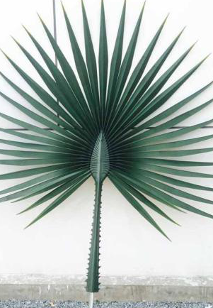 Artificial Washington Palm Tree