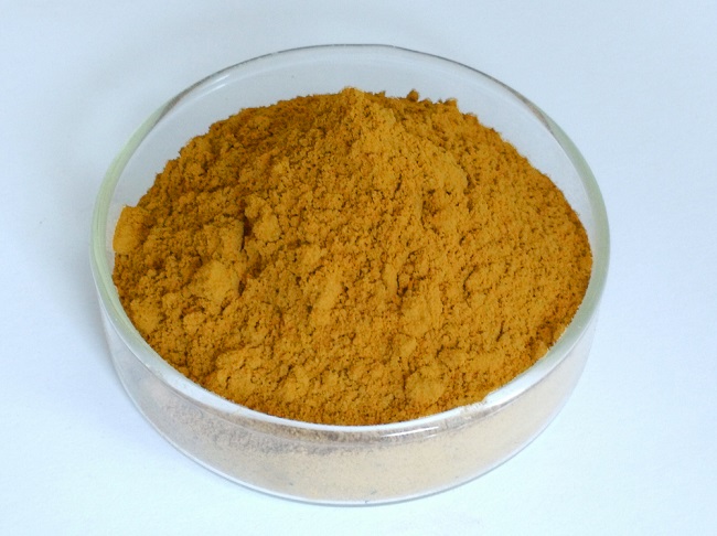 Salvia Miltiorrhiza Extract Supplier