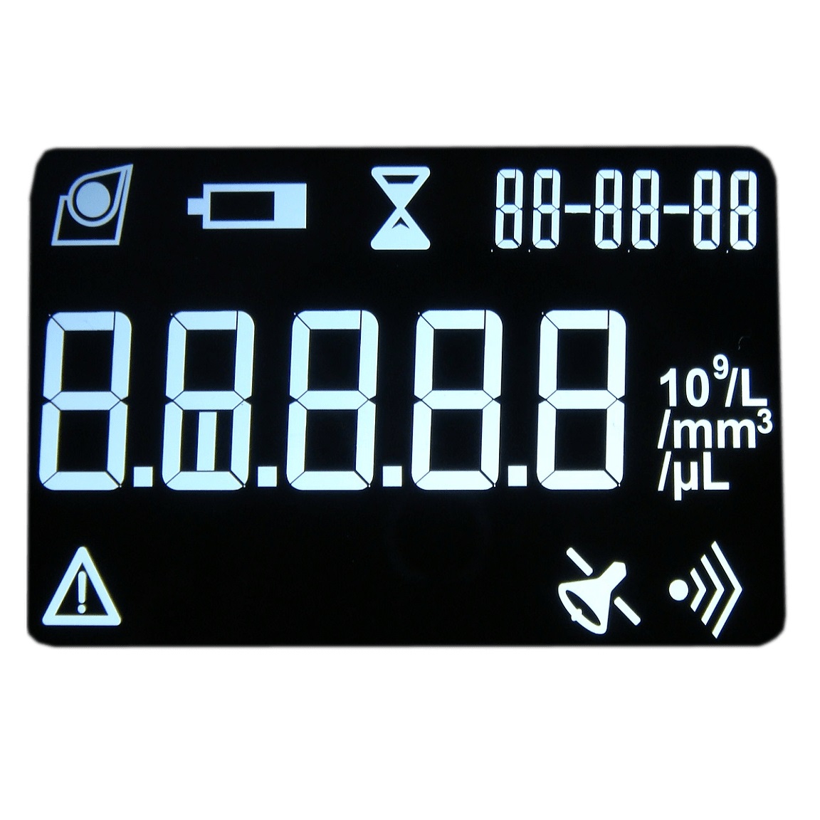 Custom Segment Icon LCD