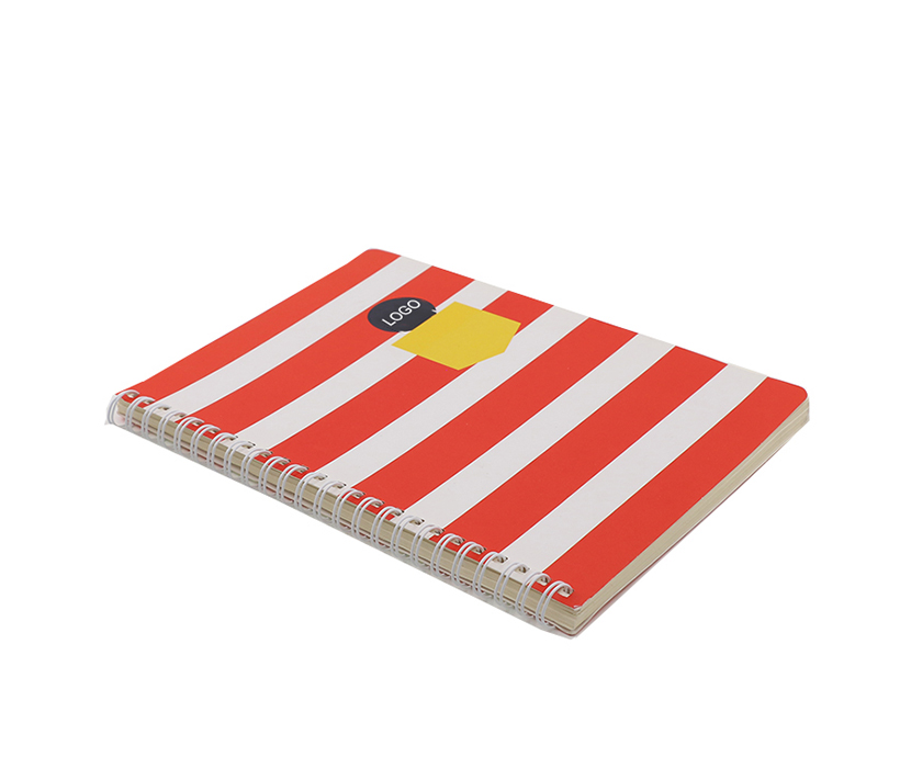 Wholesale Cheap Spiral School Notebook