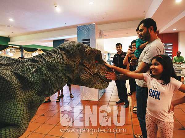 అమ్యూజ్మెంట్ పార్క్, ఉత్పత్తులు