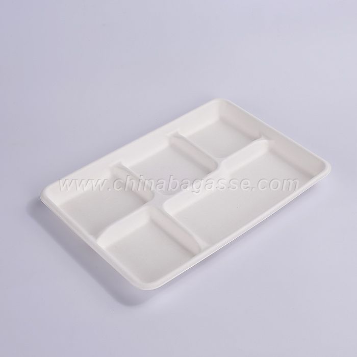 White 5 Com Bagasse Tray