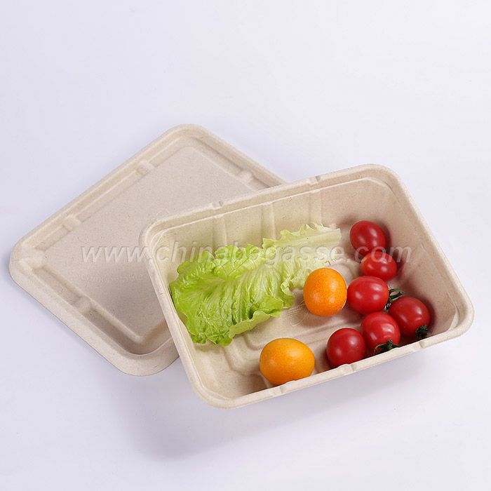 Sugarcane 1500ml Rectangle Container