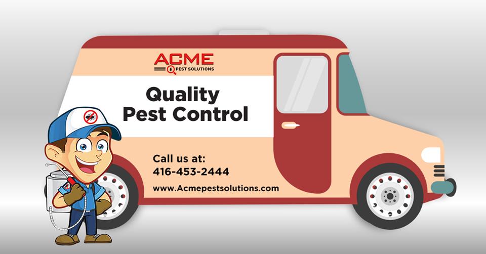 Acme Pest - ANT REMOVAL SERVICE Milton