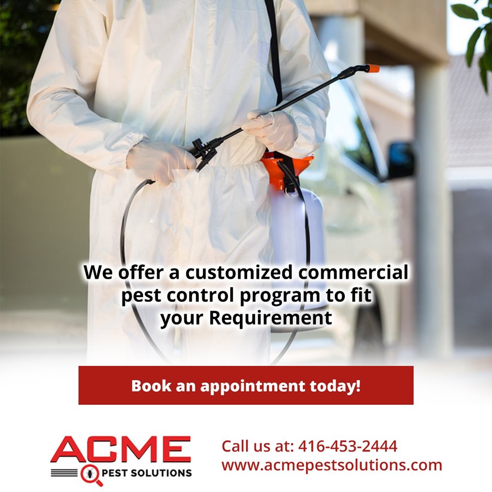 PROFESSIONAL PEST CONTROL Milton COMPANY ACME Pest Solutions 