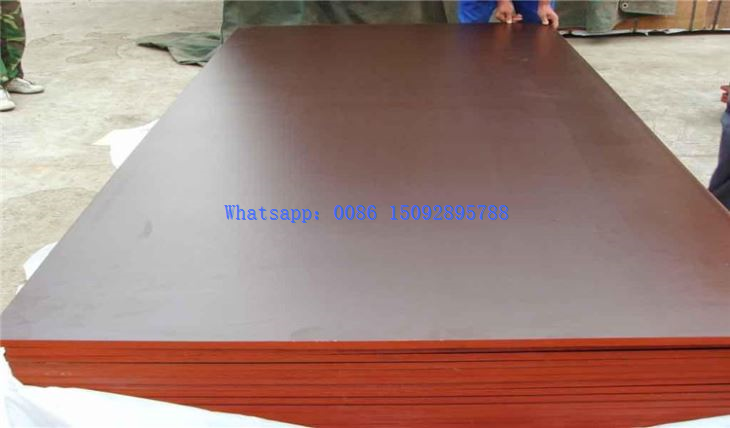 Concrete Shuttering Board Film Faced Construction Plywood