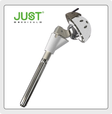 Asm Hip Joint System  Material: Ti6Al4V(Stem/Cup) + Imported PE (Liner)