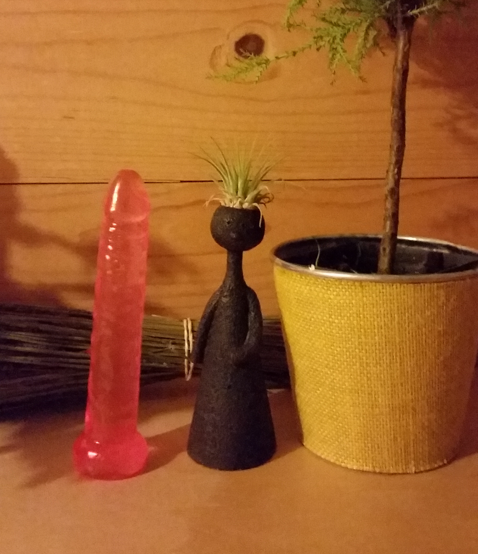 SEX TOY COLLECTIVE