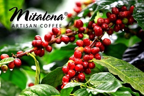 MITALENA COFFEE