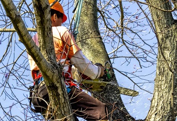 Landschaftsgärtnerische Arbeiten