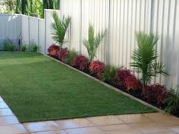 Landscaping and Backyard