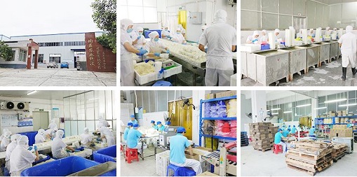 Fabricantes de produtos de comida chinesa