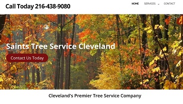 SAINTS TREE SERVICE CLEVELAND