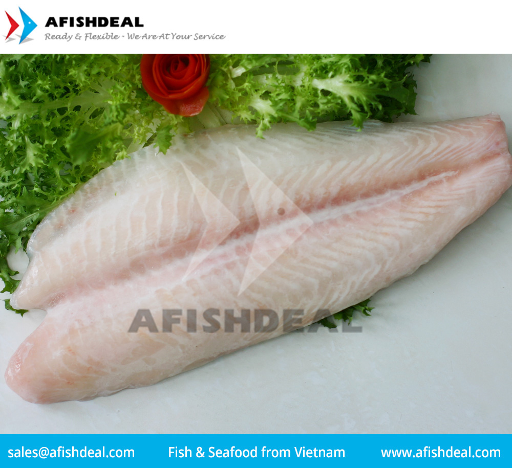 Pangasius file