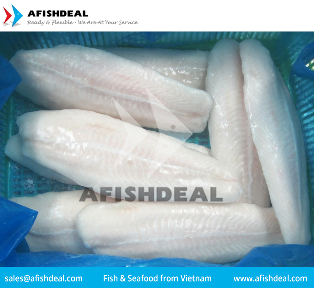 Pangasius file