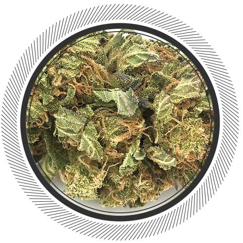 Cheapest Online Dispensary Canada