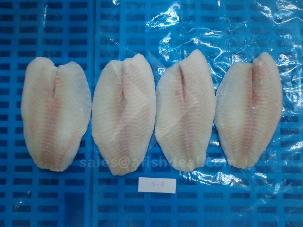 Tilapia (spisefisk)