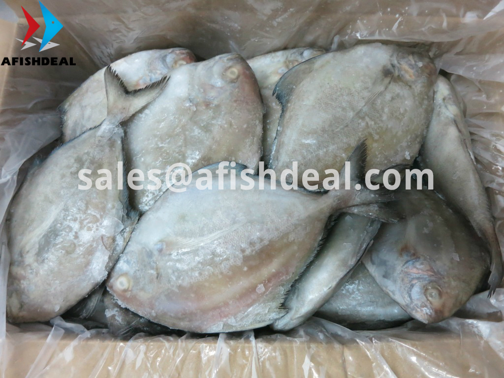 Ikan beku dan makanan laut