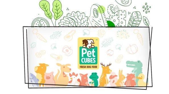 PETCUBES