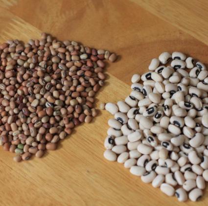 Kacang hitam bermata / cowpeas