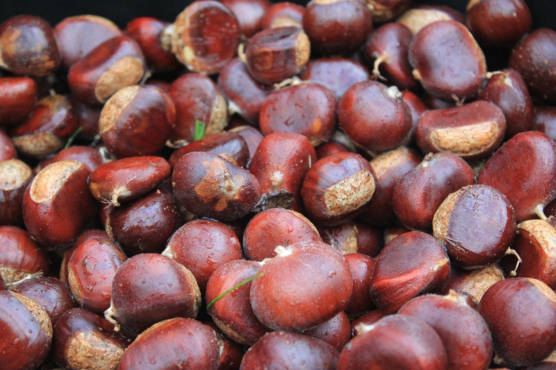 Chestnuts