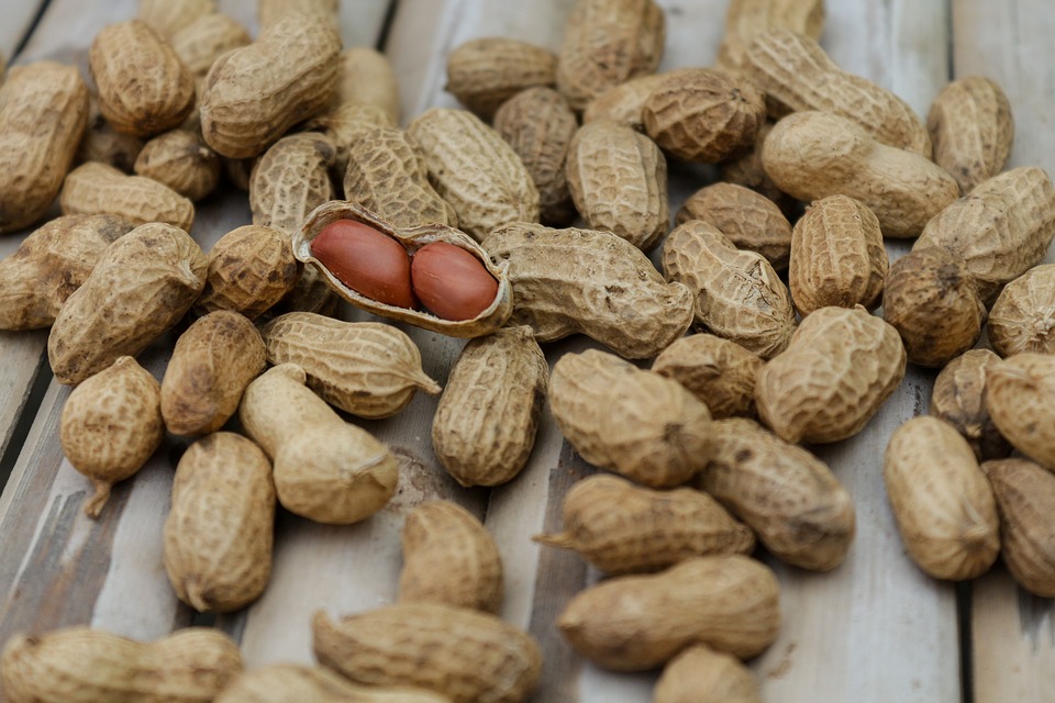 চীনাবাদাম / groundnuts