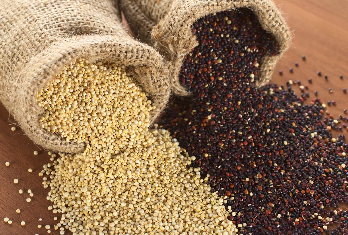 Kvinoa / kinua, chenopodium quinoa