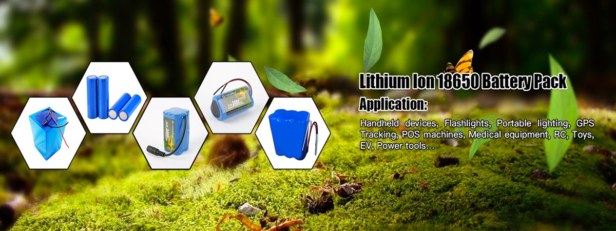 Lithium-ion Battery Cells Factory