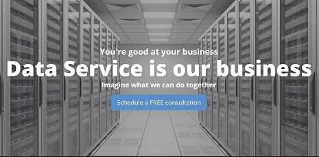 GRAYSON DATA SERVICES