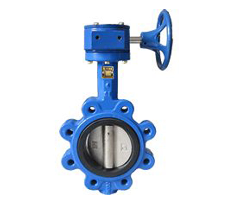 Hot Sale PN10 / PN16 Lug Type Butterfly Valve