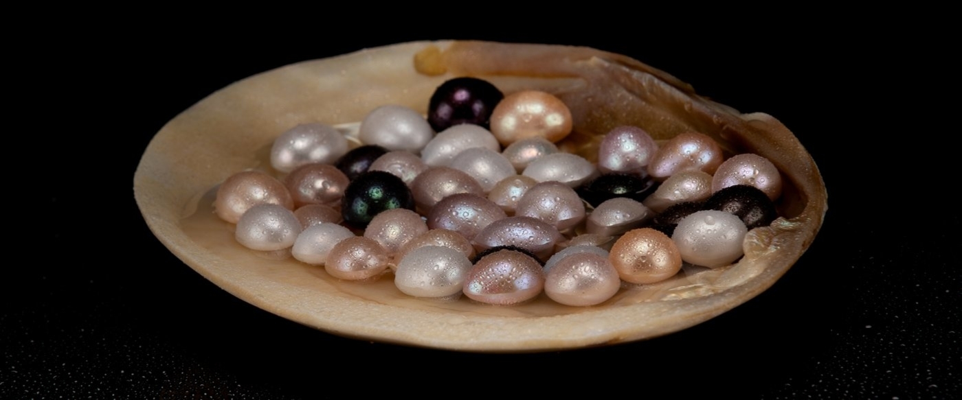 Pearls եւ բնական մարգարիտ