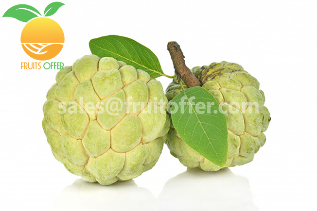 SWEETSOP