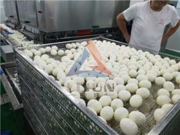 Quail Egg Processing Machine from Lijun