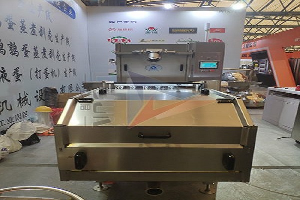 Egg processing machine