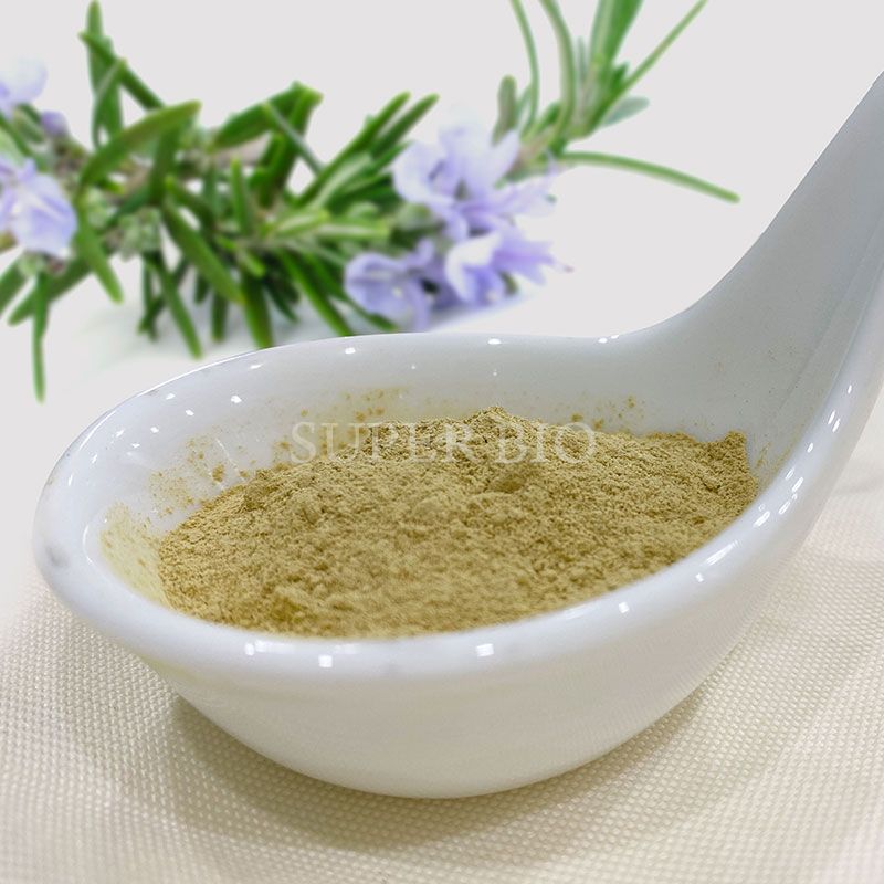 Carnosic Acid 20%   pure rosemary extract  