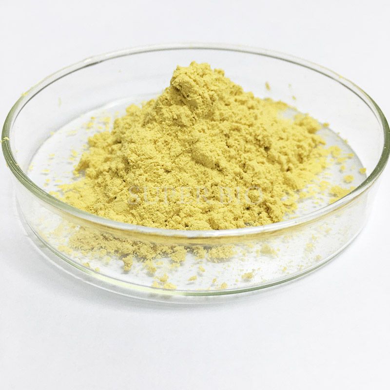 High Purity Rosmarinic Acid 80% 