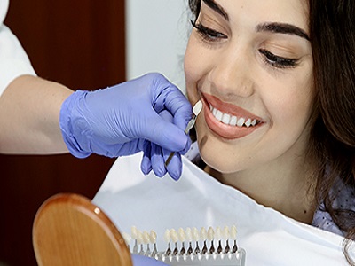 Dentalinstrumente für Tierärzte