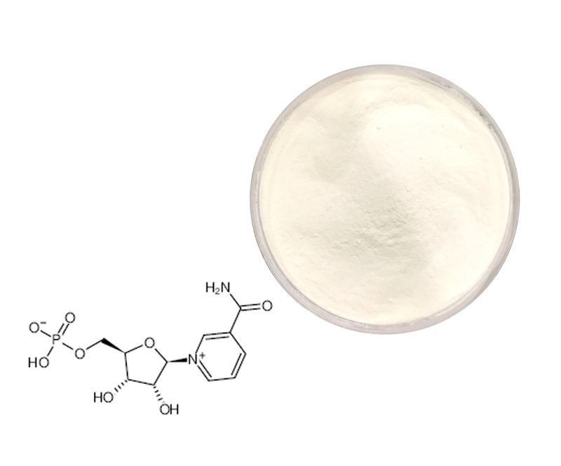 Beta-Nicotinamide Mononucleotide / NMN   nmn supplier