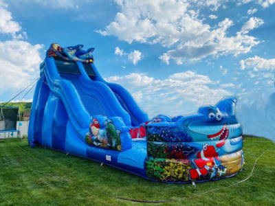 SHARKYS OF SARASOTA BOUNCE HOUSE RENTALS