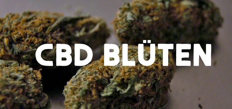 CBD BLÜTEN KAUFEN IST IN DEUTSCHLAND LEGAL